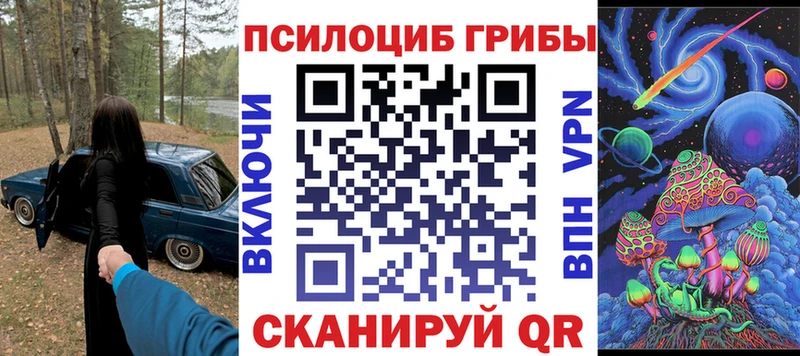 наркотики  Шацк  Псилоцибиновые грибы MAGIC MUSHROOMS 